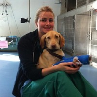 Cornell University Employee Julie Menard's profile photo