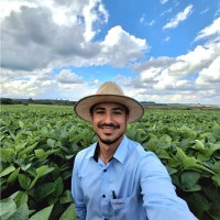 Terrena Agronegócios Ltda Employee Rodrigo Maranhão's profile photo