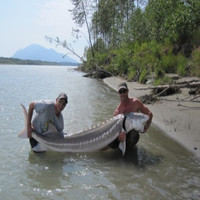 Sturgeon Rod's profile photo