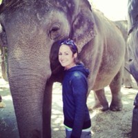 Heather Deyoung Email & Phone Number