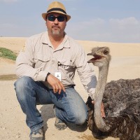 Worldwide Zoo Consultants Employee Roberto Bolanos's profile photo