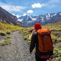 Toad&Co Employee Sarah Tatham's profile photo