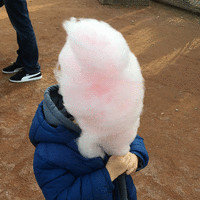 3M Employee Thierry Boyer's profile photo