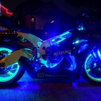 Duc Ngo Email & Phone Number