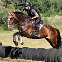 Niobium Microsystems Employee David Archer's profile photo