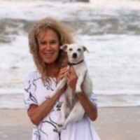 Jane Solar Email & Phone Number