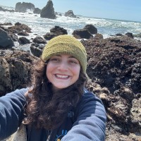 Syrian Environmental Initiative | المبادرة السورية للبيئة Employee Sarah Khoury's profile photo