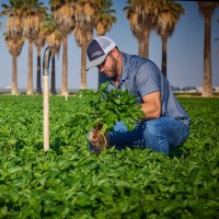 ALLIED POTATO, INC. Employee Curtis Schaefer's profile photo