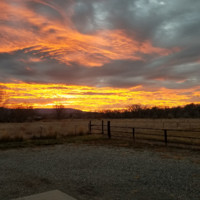 Aaron Gracie Email & Phone Number