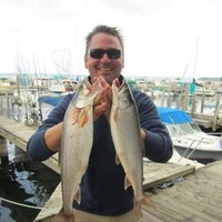 David Hawkey Email & Phone Number