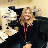 Open Targets Employee Annalisa Buniello's profile photo