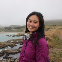 Diane Zhou's profile photo