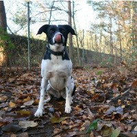 The Bookie Employee Speck the Bookie's profile photo