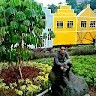 OKHOME Employee Sandi Hidayat's profile photo