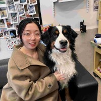 Amino Capital Employee Chiyu Liu's profile photo