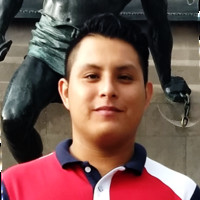 EVSA Corp Employee Ricardo Torres Lara's profile photo