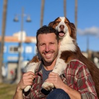 Airfix Employee David Bochner's profile photo