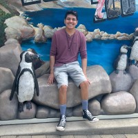 Michigan Solar Solutions, LLC Employee Leo Jurado's profile photo