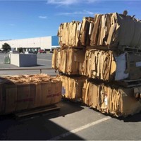 Sierra Waste Solutions LLC Employee Rick Lake's profile photo