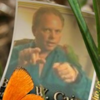 Bruce Cain Email & Phone Number