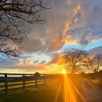 Scan Global Logistics (UK) Ltd Employee Mark Talbot's profile photo