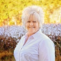 Linda Davidson Email & Phone Number