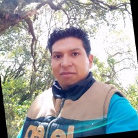 CARSO INFRAESTRUCTURA Y CONSTRUCCIÓN SECTOR DUCTOS Employee Eduardo Avila's profile photo