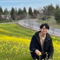 Google Employee Ke Li's profile photo