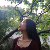 Lisa Lin Email