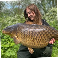 Moneyfacts Group plc Employee Donna Staff-Howes's profile photo