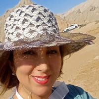 BINATEB Employee Saye Malekmohamadi's profile photo