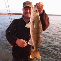 People search result for Lorrie Sanderson