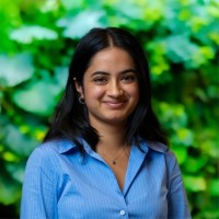 Gotoco - TEFL teacher training & global work-travel placements & teaching fellowships Employee Avni Bansal's profile photo