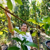 GWS Living Art Employee Zac Toh's profile photo