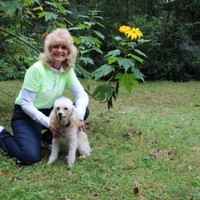 Poindexter Excavating, Inc. Employee Faye Poindexter's profile photo