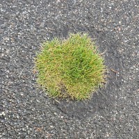 Connox GmbH Employee Kristian Lenz's profile photo