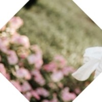 N F Email