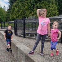 The Best Company in the World Employee Dennis Post's profile photo