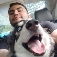 UbiHPC Employee Nicolás Camargo Forero's profile photo