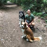 Network Distributors Employee Lisa Lazzaro's profile photo