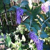 Kinship House Employee Melissa Smith-Hohnstein's profile photo