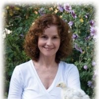 Harper Group Employee Ann Macy's profile photo