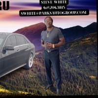 Steve White Email & Phone Number