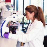 Cancer Research UK Cambridge Centre Employee Giulia Biffi's profile photo