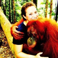 American College of Veterinary Internal Medicine (ACVIM) Employee Amanda Kludasch's profile photo
