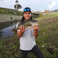 GNS Electric Inc. Employee Angel Torres-Larson's profile photo