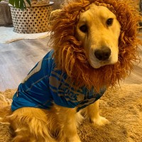 Rick Gonzales Email & Phone Number