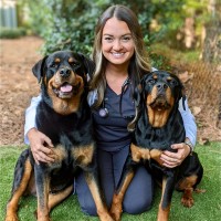 South Atlanta Veterinary Emergency & Specialty Employee Caitlin Mahoney's profile photo