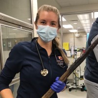 Andrea Henriksson Email