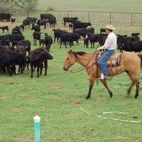 Rainbow’s End Ranch, LLC Employee Daniel Schoenfelder's profile photo